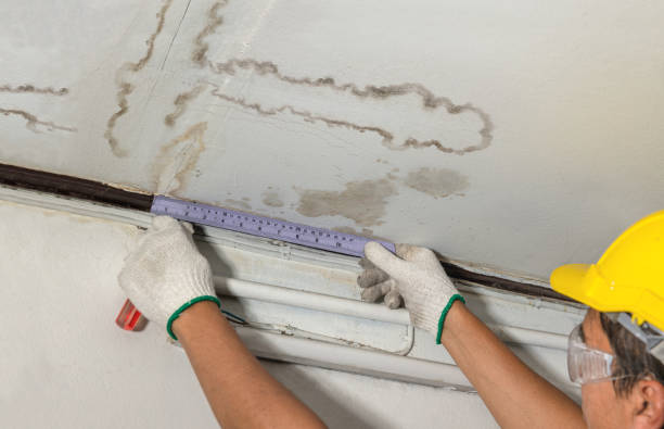 Affordable Water Damage Repair solutions in Burr Hill, VA